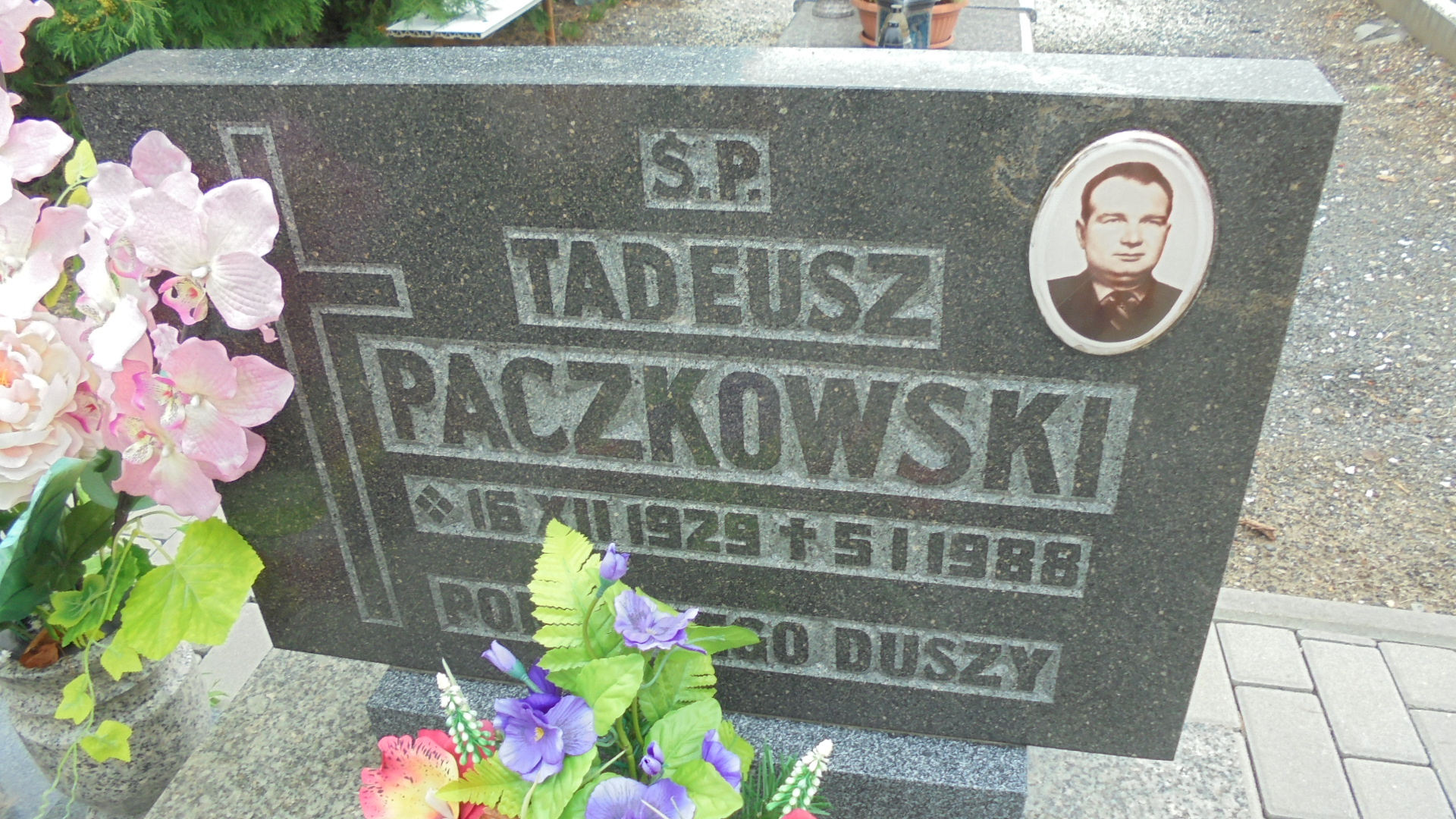 Tadeusz PACZKOWSKI 1929 Legnickie Pole - Grobonet - Wyszukiwarka osób pochowanych
