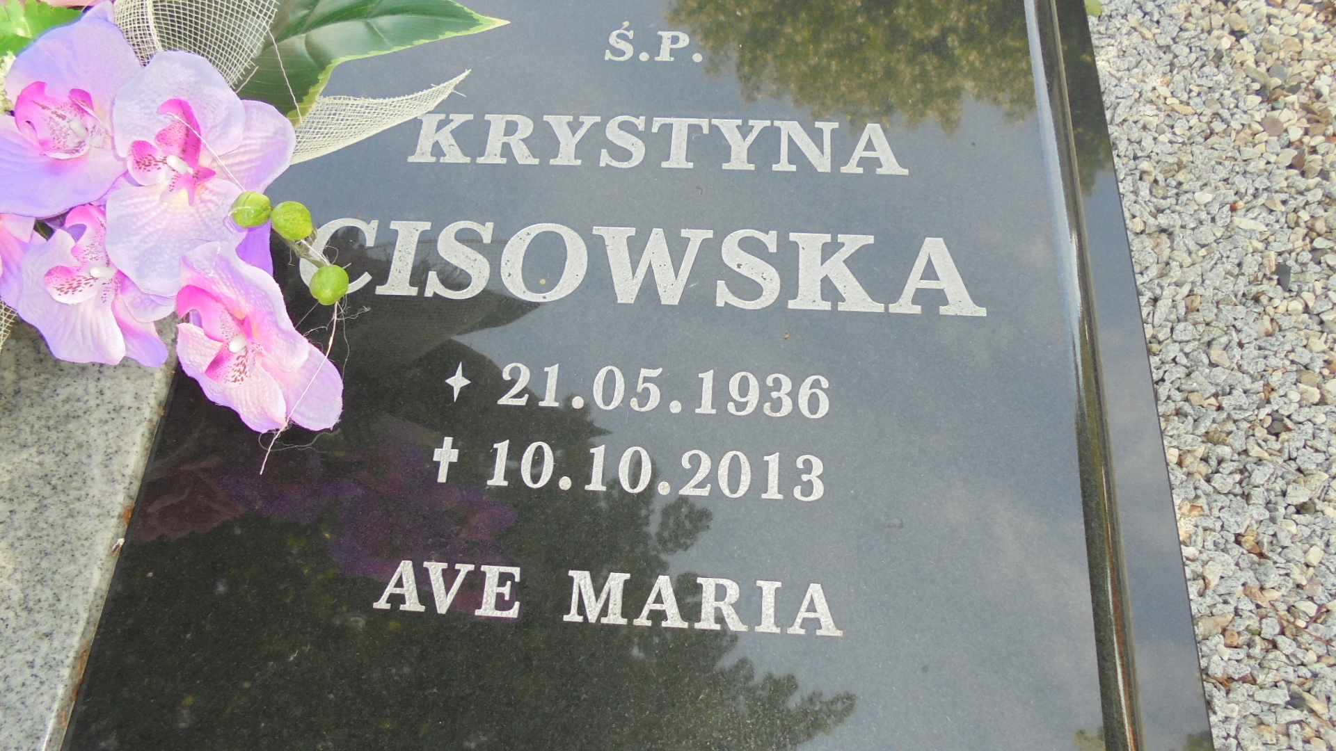 Krystyna CISOWSKA 1936 Legnickie Pole - Grobonet - Wyszukiwarka osób pochowanych