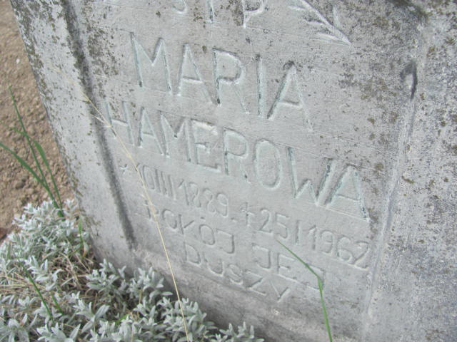 MARIA-do likwidacji HAMEROWA 1889 Legnickie Pole - Grobonet - Wyszukiwarka osób pochowanych