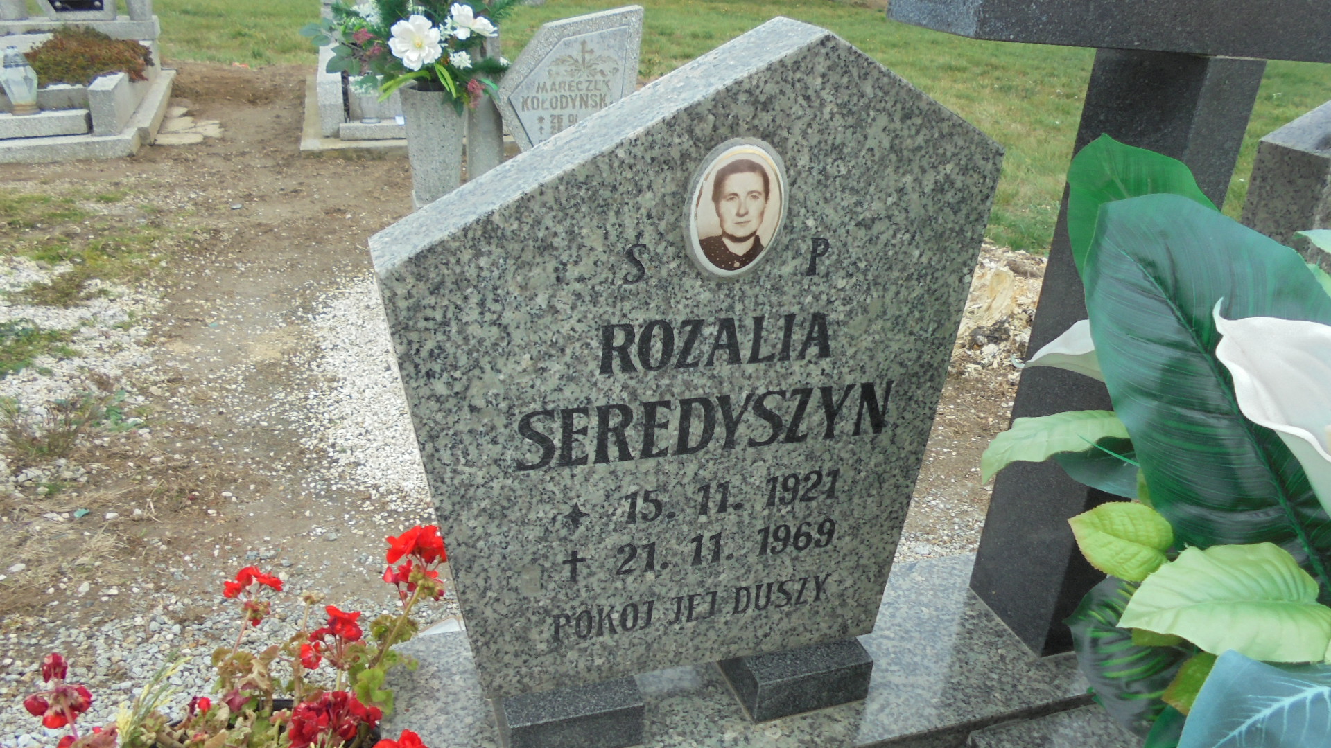 Rozalia SEREDYSZYN 1921 Legnickie Pole - Grobonet - Wyszukiwarka osób pochowanych